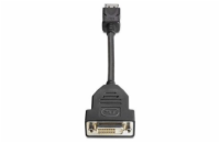 HP DisplayPort To DVI-D Adapter