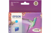 R265/360,RX560 Cyan Ink cartridge (T0802)