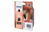 EPSON SP R1900 Matte black Ink Cartridge (T0878)