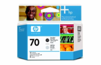 HP Printhead 70/Photo Black and Light Grey