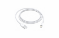 Apple Lightning to USB Cable (1m)
