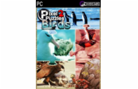 ESD Pixel Puzzles 2 Birds