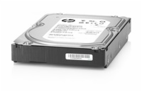 HPE 4TB SATA 6G Business Critical 7.2K LFF RW 1-year Warranty Multi Vendor HDD