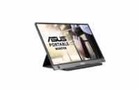 PROMO 15,6   WLED ASUS MB16AH