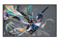 PHILIPS 55BDL3550Q/00 55" ADS 3840x2160 400cd/m2 500000:1 18/7