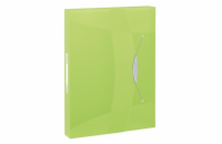Esselte box na dokumenty VIVIDA, 40 mm, zelená