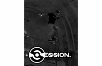 ESD Session Skateboarding Sim Game