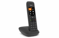 Gigaset C575