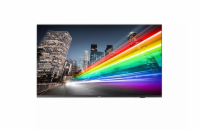 65" D-LED Philips 65BFL2214-UHD,IPS,350cd,TV,16/7