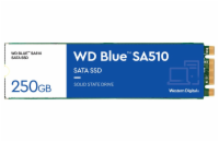 WD Blue SA510/250GB/SSD/M.2 SATA/5R