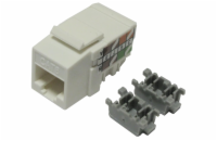 XtendLan Keystone jack RJ45, narážecí, CAT6, UTP, 90 st., narážení shora, bílý
