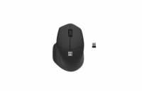 Natec optická myš SISKIN 2/Kancelářská/Optická/Pro praváky/1 600 DPI/USB+BT/Černá