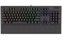 Endorfy herní klávesnice Omnis Kailh BR RGB / USB / brown switch / drátová /mechanická/US layout/černá RGB