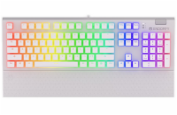 Endorfy herní klávesnice Omnis OWH Pudd.Kailh BL RGB / USB / blue switch / drátová /mechanická/US layout/bílá RGB