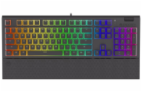 Endorfy herní klávesnice Omnis Pudd.Kailh BL RGB /USB/ blue switch / drátová / mechanická / US layout / černá RGB