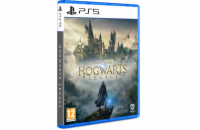 PS5 - Hogwarts Legacy