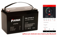 FUKAWA LFP100-12 LiFePo4 (12,8V 100Ah Bluetooth)