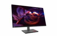 Lenovo ThinkVision/P32p-30/31,5"/IPS/4K UHD/60Hz/6ms/Black/3R