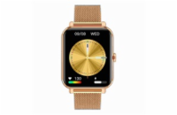 Garett Smartwatch GRC CLASSIC Gold steel