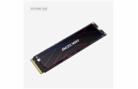 HIKSEMI SSD FUTURE 1024GB, M.2 2280, PCIe Gen4x4, R7450/W6600