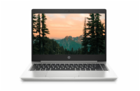 HP ProBook 440 G7 14 palců, 8 GB, Intel Core i5-10210U 1.60 GHz, 256 GB NVMe SSD, Windows 11 Pro, 1920 x 1080 px, Intel UHD Graphics 620, Bluetooth, WIFI, Webkamera, Vady: mírné estetické vady