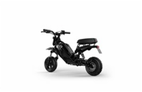 ACER elektrická koloběžka Predator Extreme PES017, 48V/350W hub motor,max 25km/h,dojezd 35km,nosnost 100kg,odpružení