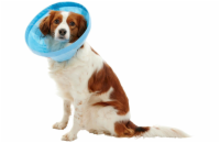 Buster Límec ochranný Soft Flex Collar 25cm