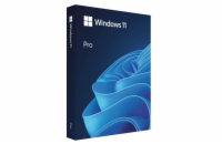 Windows Pro 11 64-bit Czech USB