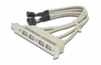Digitus záslepka slotu s 4 USB porty, kabel 2x 10 Pin  0,25m
