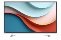 43" LED EIZO EV4340X-BK - 4K,IPS,KVM,USB-C