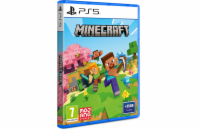 PS5 - Minecraft