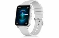 Niceboy WATCH 4 Artic silver