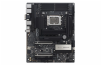 ASUS PRO WS Z890-ACE SE