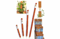 Tyč 40mm/40cm STREND PRO GreenGarden Coco kokosová