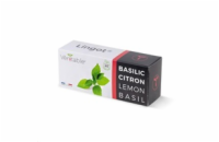 Véritable Lingot Citronová bazalka - BIO