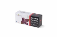 Véritable Lingot Fialová bazalka - BIO