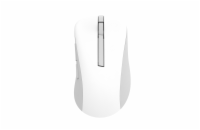 ASUS Wireless Mouse MD102/Kancelářská/Optická/Pro praváky/1 600 DPI/USB+BT/Bílá