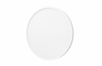 Xiaomi Mi Smart LED Ceiling Light D30