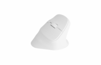 Bezdrátová myš Natec CRAKE 2/Kancelářská/Optická/2 400 DPI/USB+BT/Bílá/Vertikální/Optická/Pro pravák