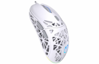 Endorfy myš LIV Onyx White / PAW3311 / Khail GM 4.0 / ARGB / drátová / ultralehká / bílá
