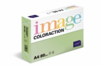 Antalis Papír Image Coloraction Forest - pastelově zelená (MG28) A4 (80g/100ks)