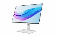 Lenovo/L24m-4A/23,8"/IPS/FHD/100Hz/1ms/Gray/3R