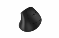 CANYON mouse MW-25 Ergonomic LED AA Dual mode Wireless Black