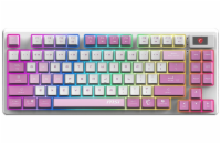 MSI herní klávesnice FORGE GK600 TKL Violet/ bezdrátová 2,4GHz+BT/ mechanická/ RGB/ USB-C/ display/ CZ+SK layout