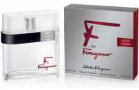 Salvatore Ferragamo F by Ferragamo Pour Homme EdT 100ml