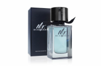 Burberry Mr. Burberry EdT 100 ml Pro muže