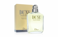 Dior Dune Pour Homme EdT 100 ml Pro muže