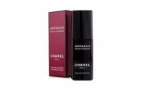 Chanel Antaeus EdT 100 ml Pro muže