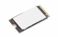 Lenovo ThinkPad disk 1TB Performance PCIe Gen4 NVMe OPAL2 M.2 2280 SSD Gen3