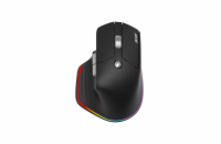 Acer Easy Fit/Ergonomická/Optická/Pro praváky/4 000 DPI/USB+BT/Černá